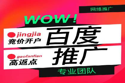 精准投放：SEM推广的技巧与案例